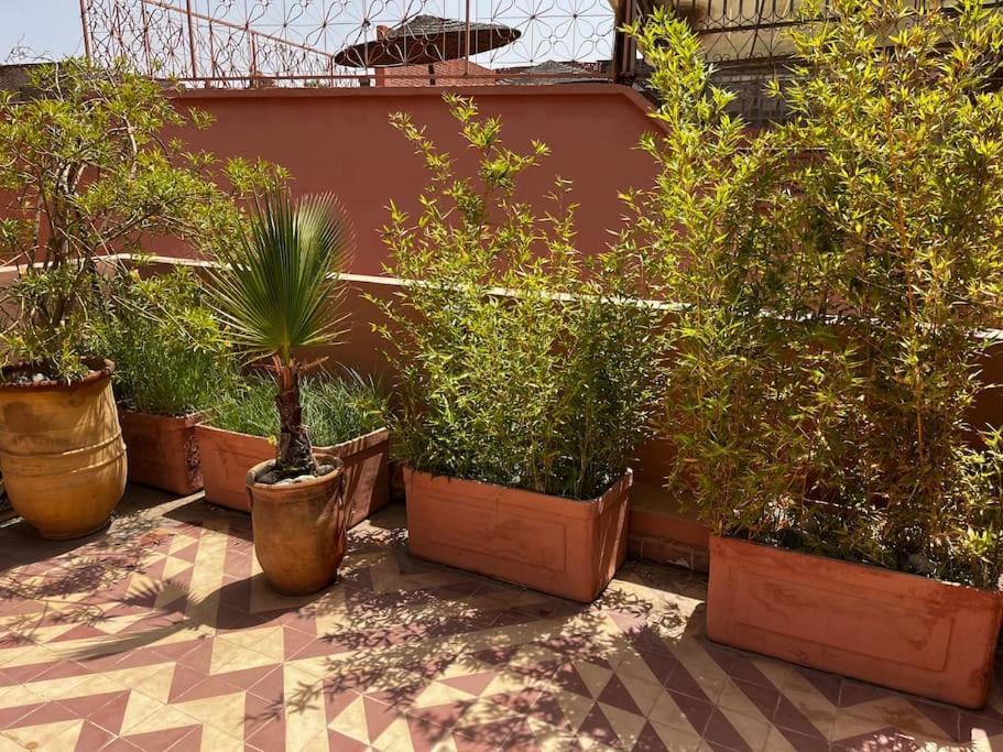 Riad Nadara, Superbe Riad Au Coeur De La Medina! Marakéš Exteriér fotografie
